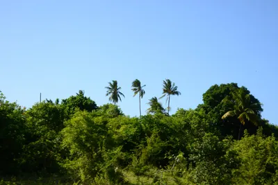 DSC_8280 (Large).JPG